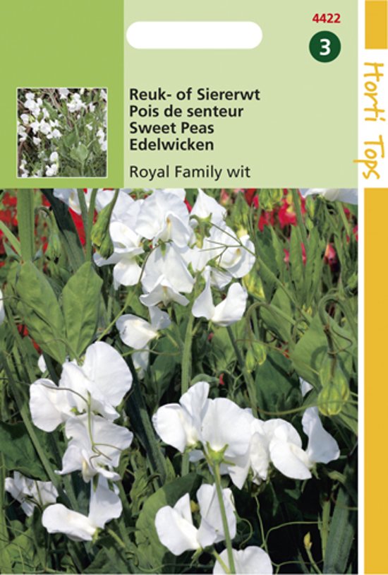 Reukerwt Royal Family White (Lathyrus) 45 zaden